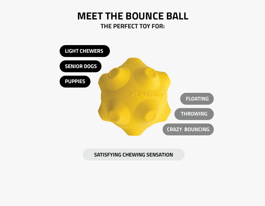 Diagram, Transparent Clipart