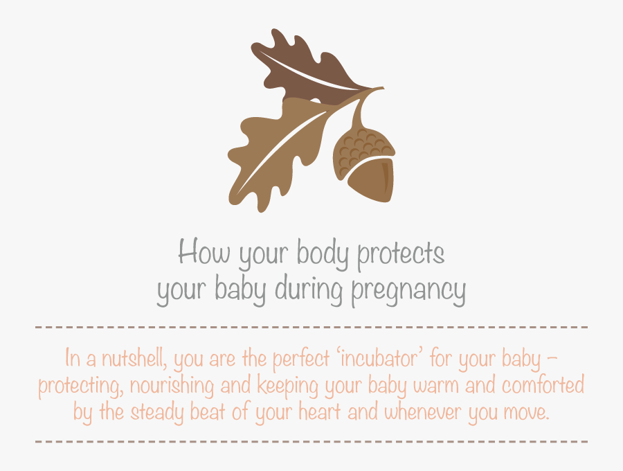 Transparent Baby In Womb Png - Let My Soul Smile Through My Heart At I May Scatter, Transparent Clipart