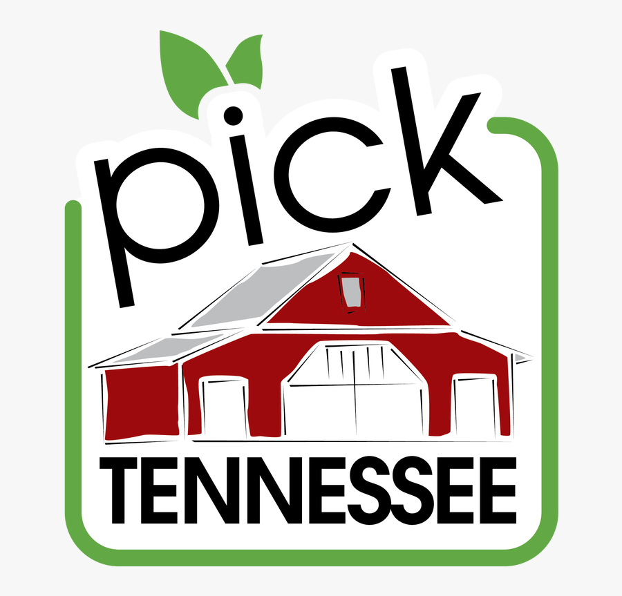 Pick Tennessee Logo, Transparent Clipart