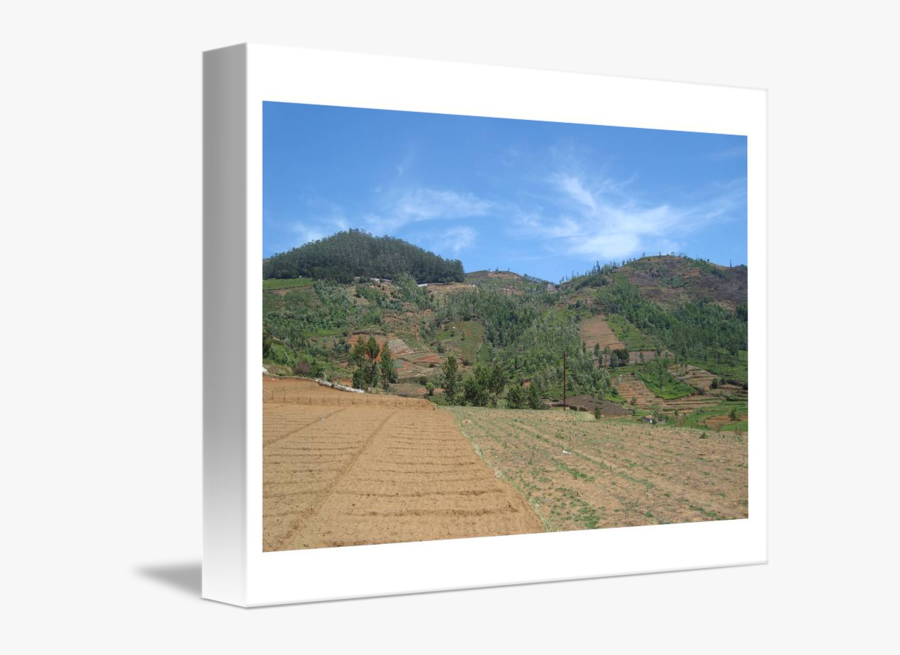 Clip Art Plowed Land - Photographic Paper, Transparent Clipart