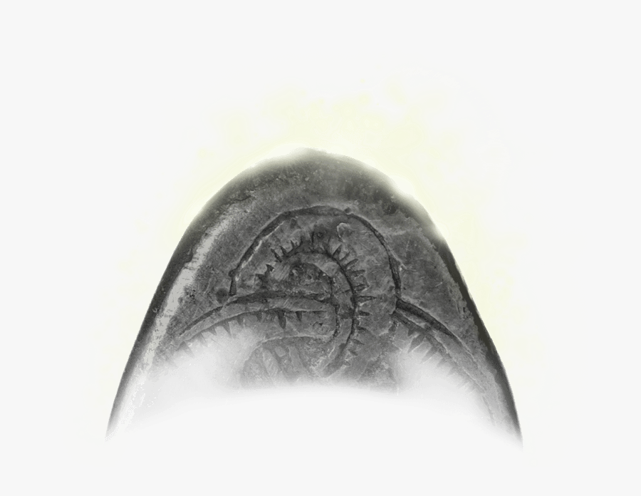 Close-up, Transparent Clipart