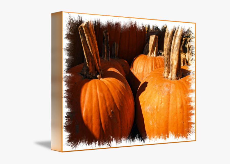Clip Art Pumpkin Patch Photography - Pumpkin, Transparent Clipart