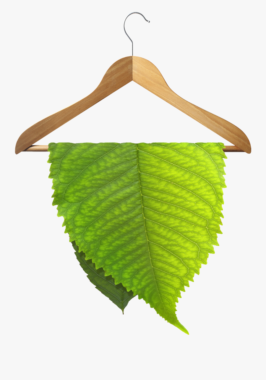A Tremendous Breakthrough In Dry Cleaning Technology - Eco Friendly Dry Cleaning, Transparent Clipart
