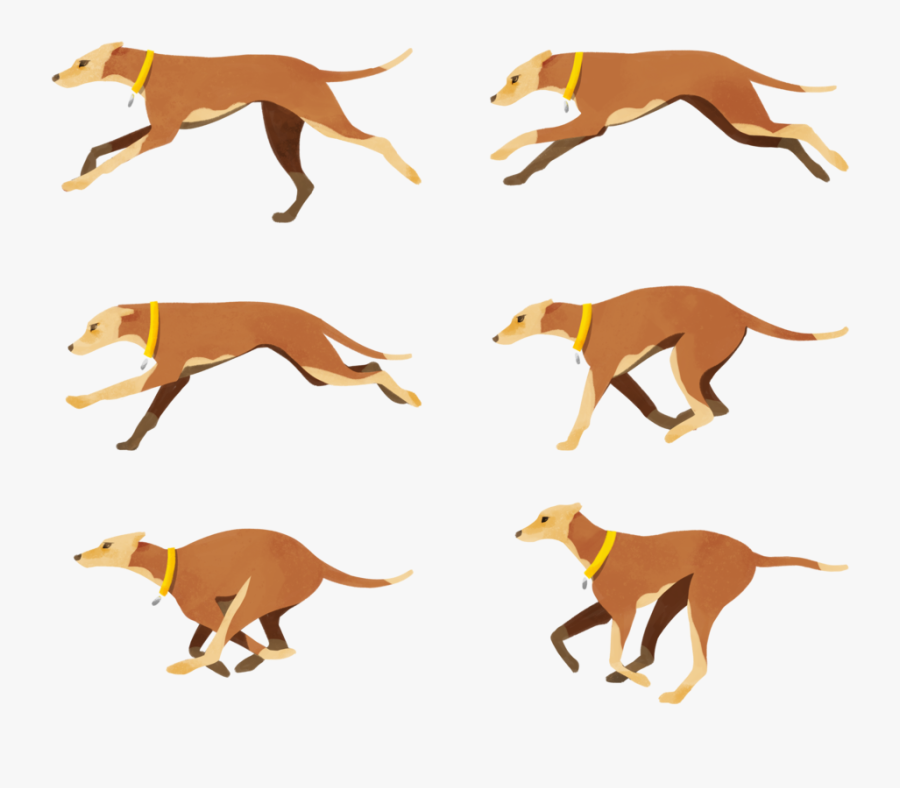 Italian Greyhound Dog Breed Crossbreed Clip Art - Dog Catches Something, Transparent Clipart