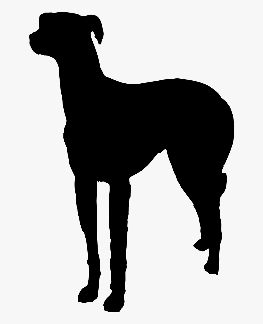 Italian Greyhound Pet Sitting Dog Walking Dog Breed - Rampur Greyhound, Transparent Clipart