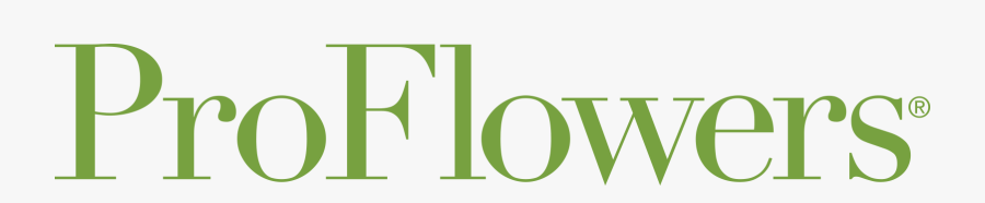 Dutch News Logo, Transparent Clipart