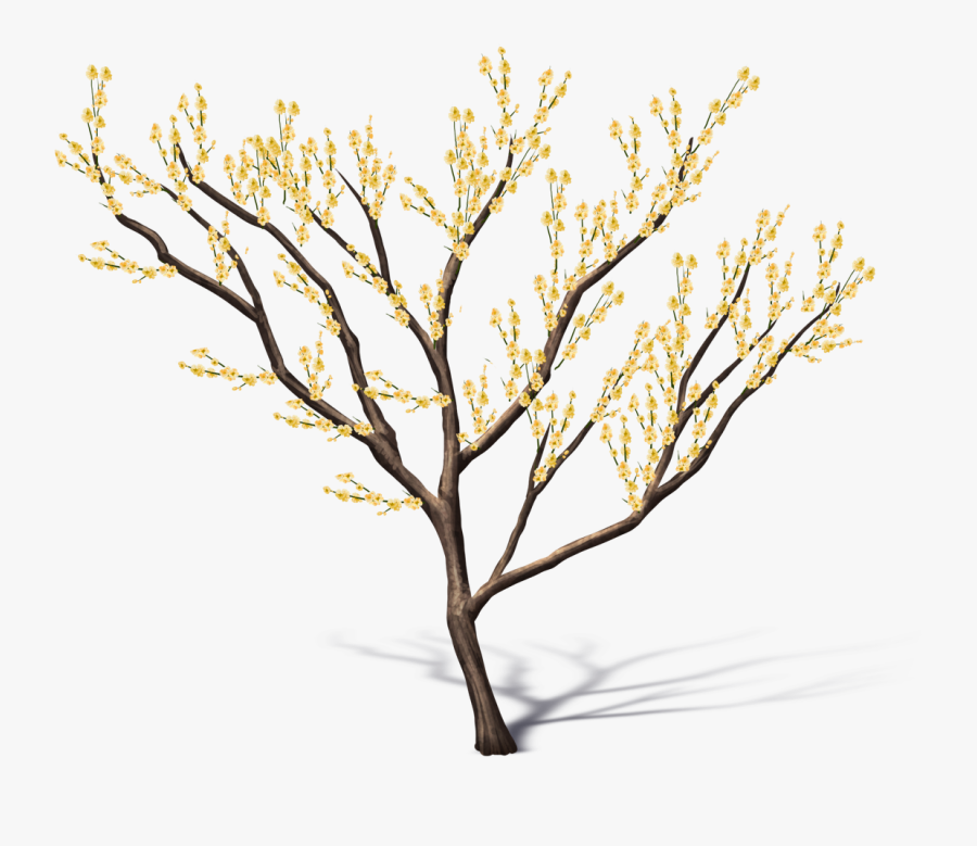 Silhouette, Transparent Clipart