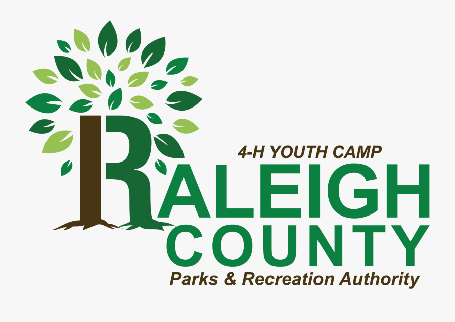 Graphic Design, Transparent Clipart