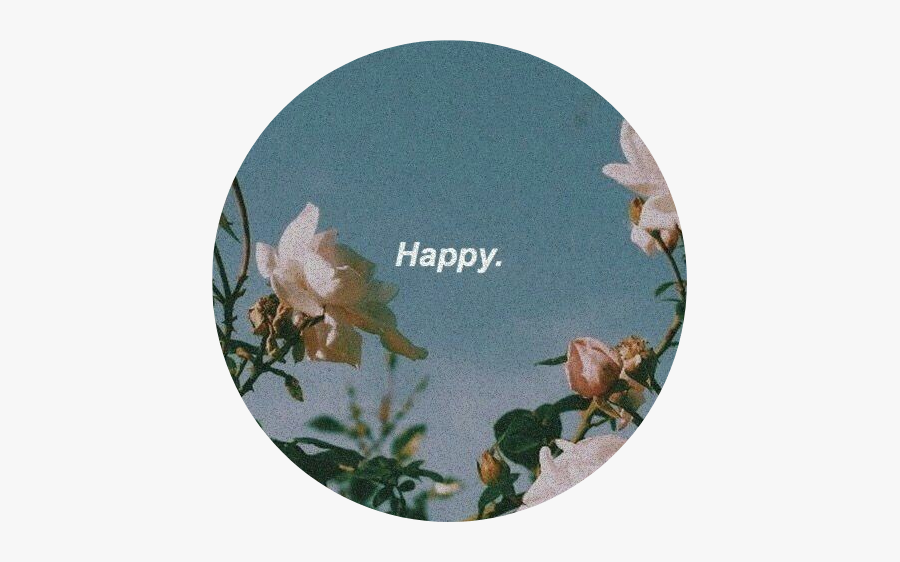 #circle #tumblr #happy #flower #aesthetic #tumblrpng - Aesthetic Happy Flower, Transparent Clipart