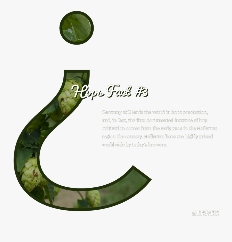 Snake, Transparent Clipart