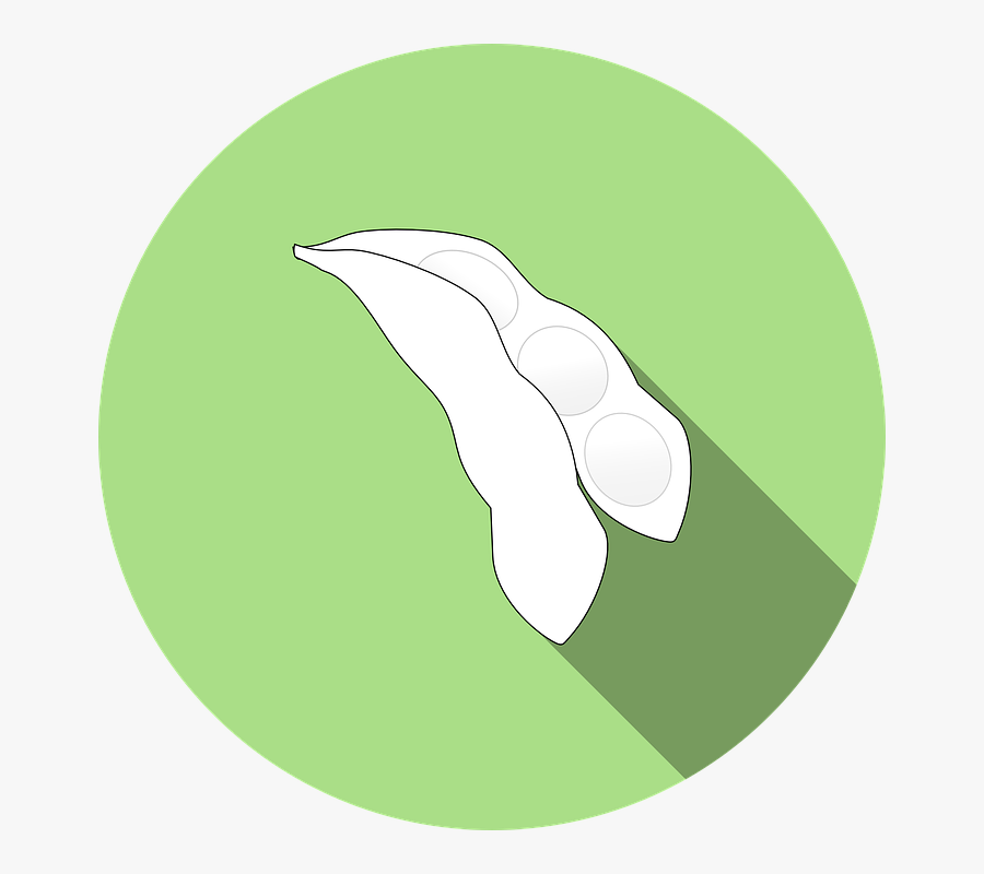 Green Bean Cliparts 14, Buy Clip Art - Soya Icon, Transparent Clipart