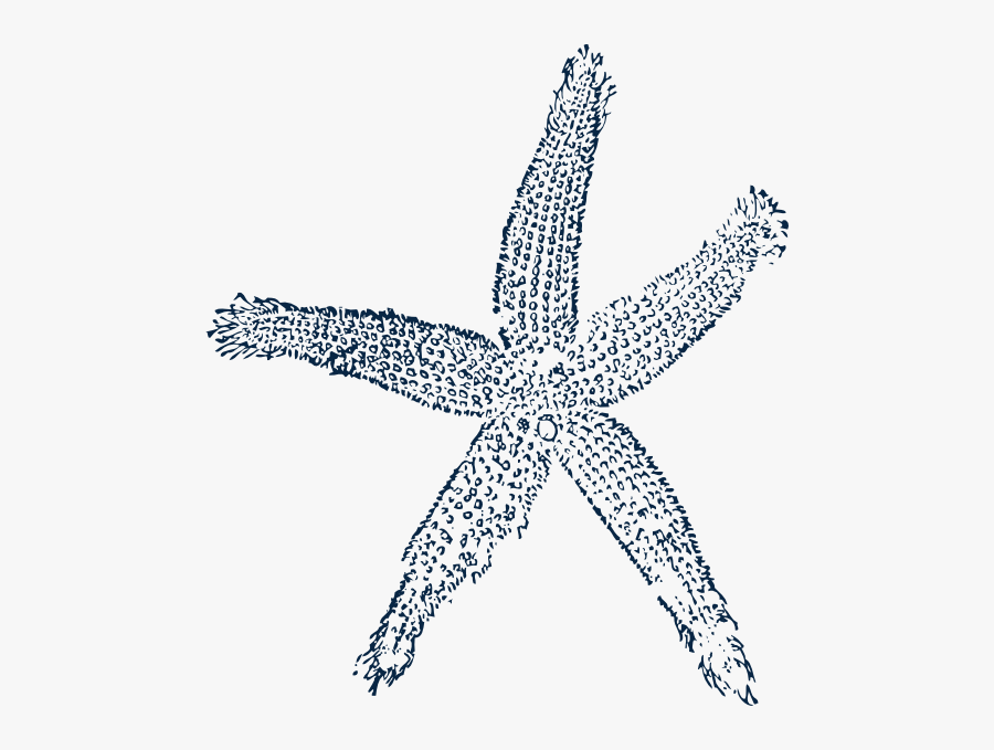 Starfish Prints Single Blue Svg Clip Arts - Navy Blue Starfish Clipart, Transparent Clipart