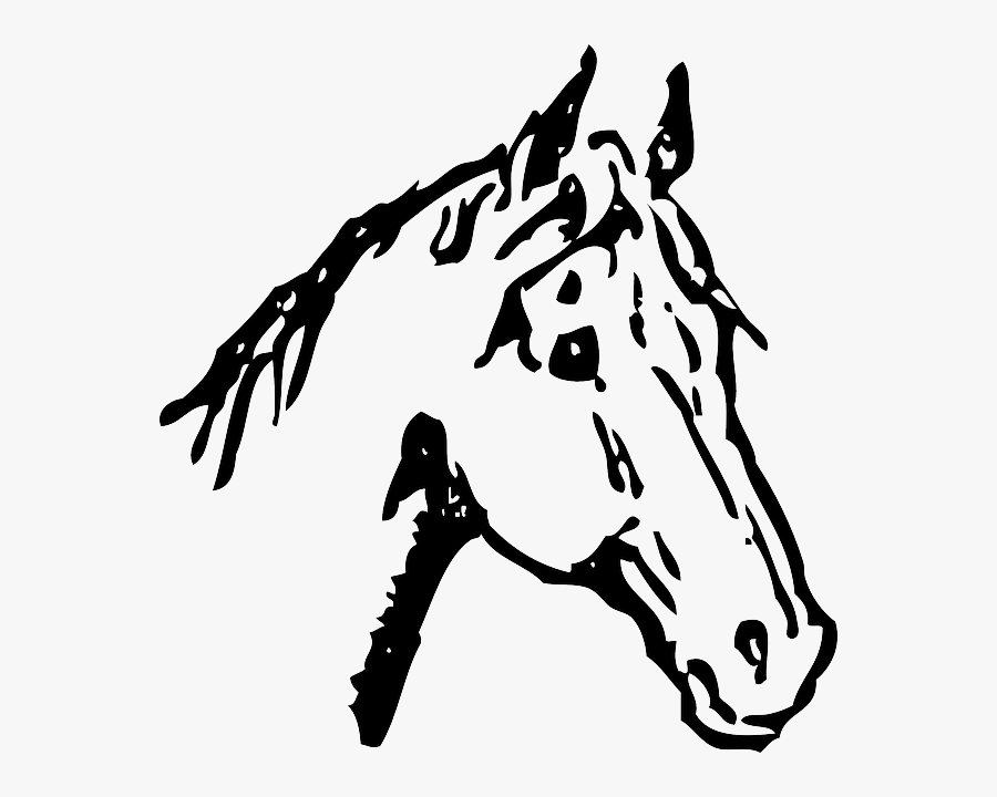 Belgian Horse American Quarter Horse White Drawing - Free Black And White Horse Clipart, Transparent Clipart