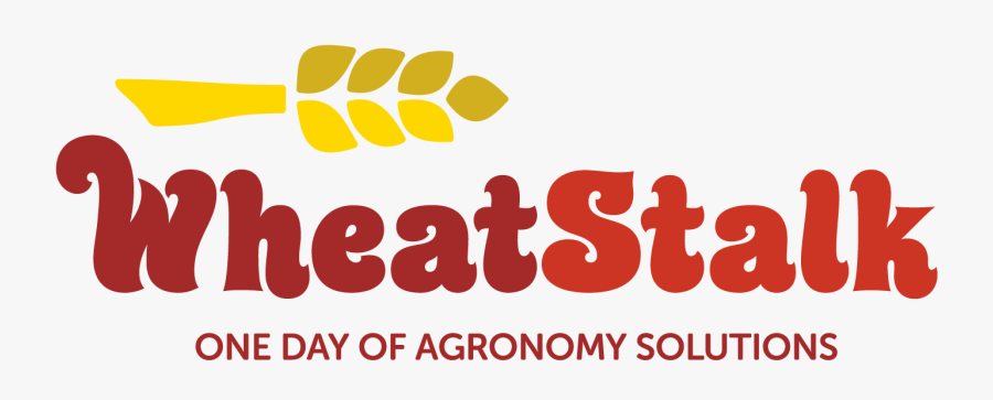 Graphic Design, Transparent Clipart