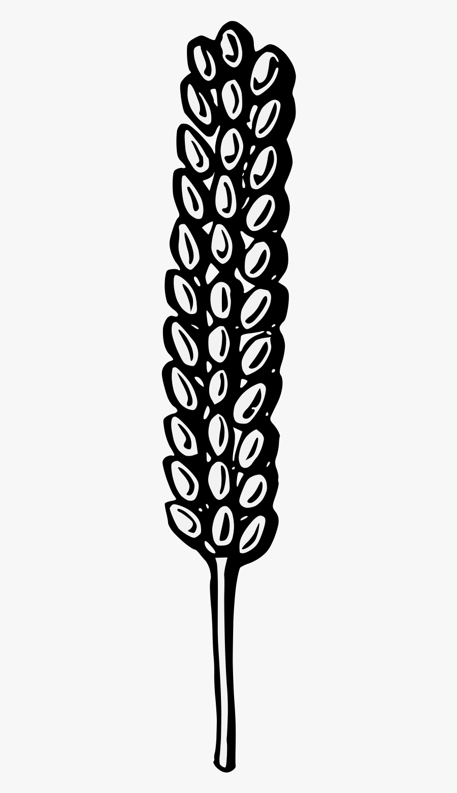 Clip Art, Transparent Clipart