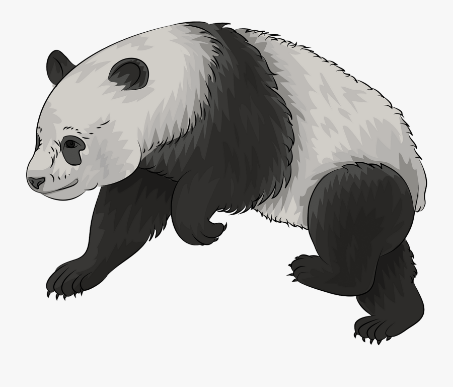 Panda , Free Transparent Clipart - ClipartKey