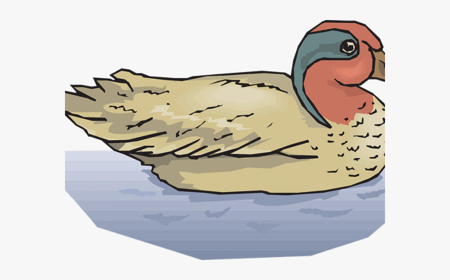 Duck On Water Clipart, Transparent Clipart