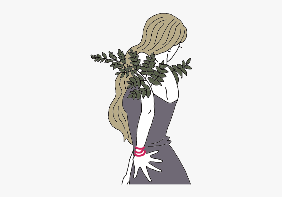 Fern - Illustration, Transparent Clipart