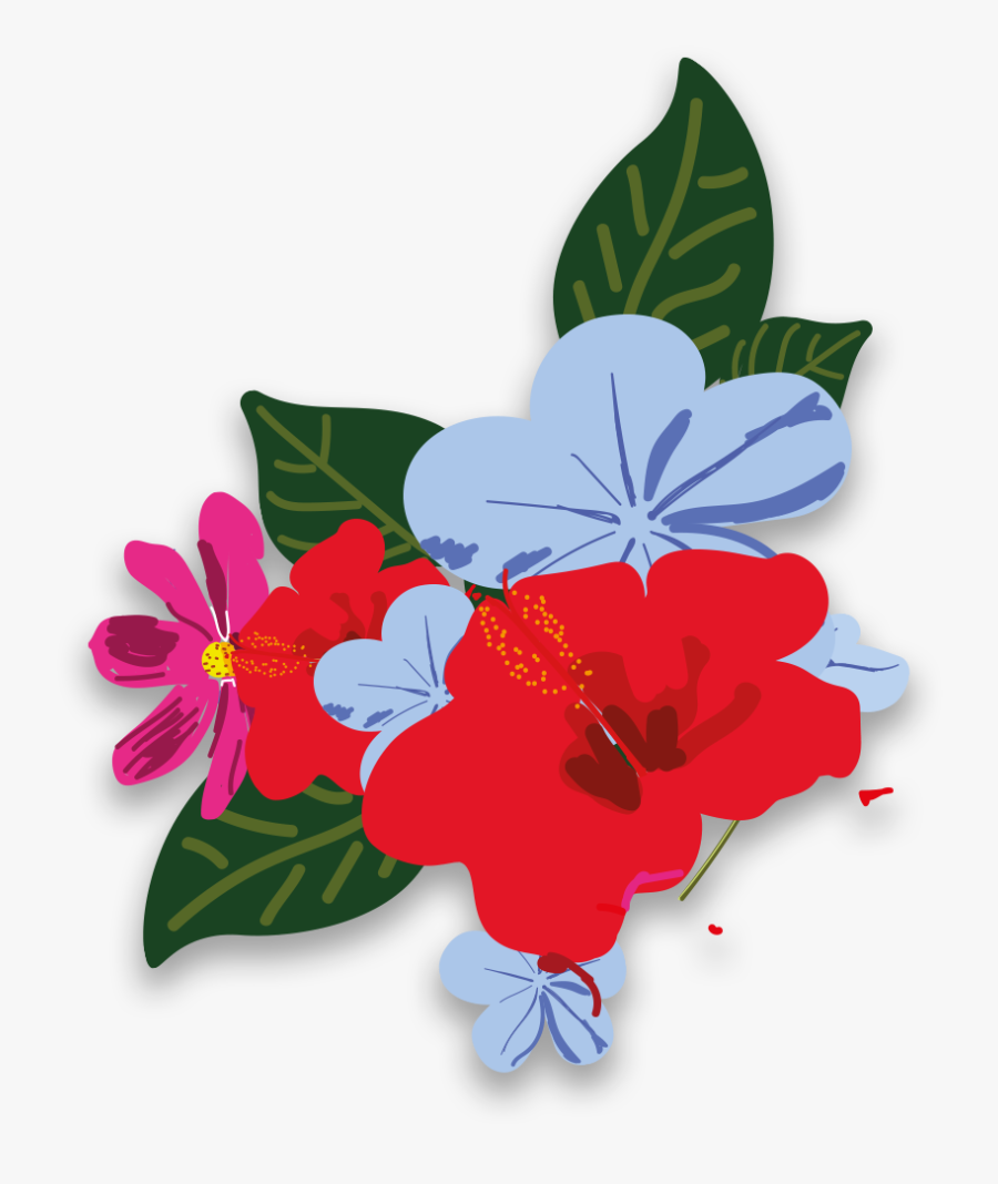 Impatiens, Transparent Clipart
