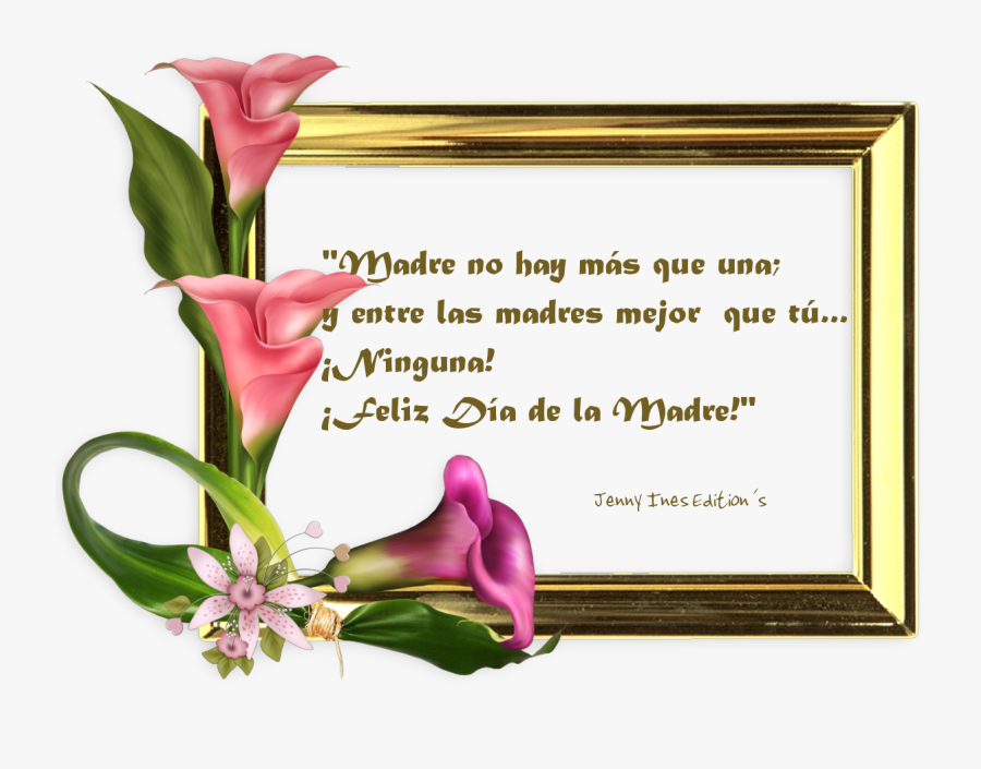 Transparent Feliz Dia De Las Madres Clipart - Women Day Frame, Transparent Clipart