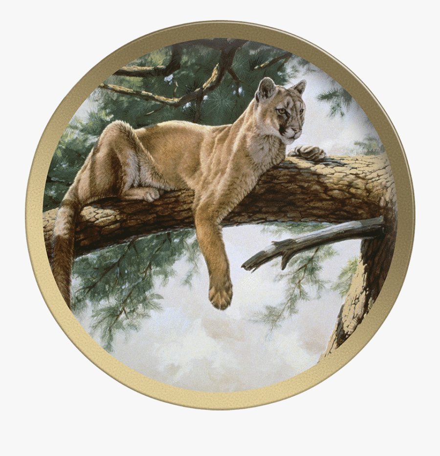 Transparent Mountain Lion Png - Guy Coheleach Rocky Mountain Lion, Transparent Clipart