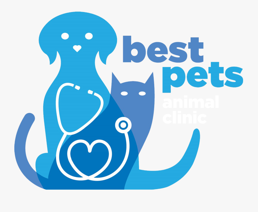 Best Pets Animal Clinic - Budget 2020, Transparent Clipart