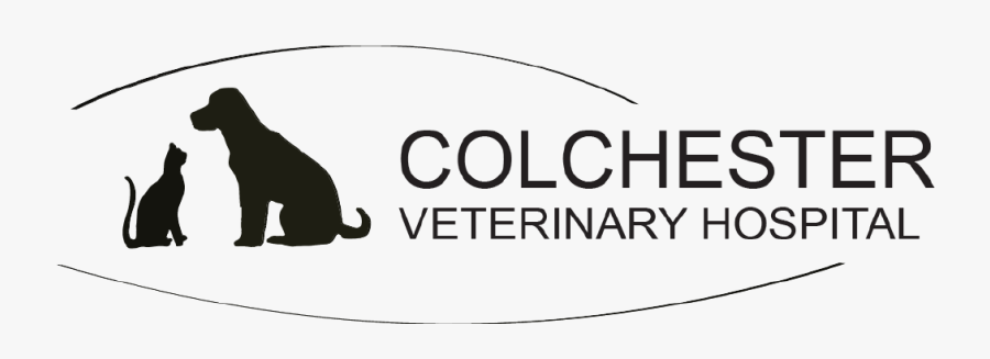 Colchesterlogo - State Council On The Arts, Transparent Clipart