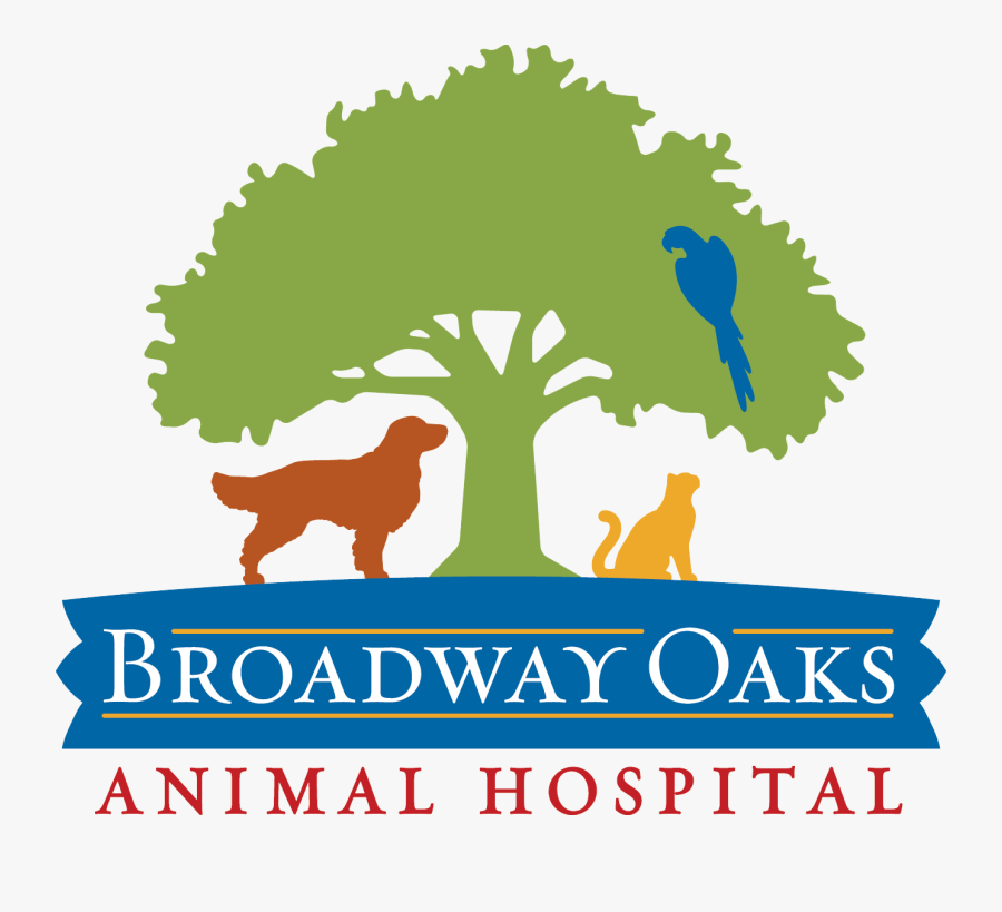 Broadway Oaks Animal Hospital - Illustration, Transparent Clipart
