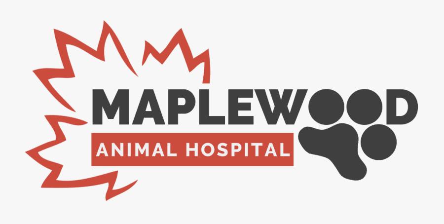 Logo4lightbackground - Maple Leaf, Transparent Clipart