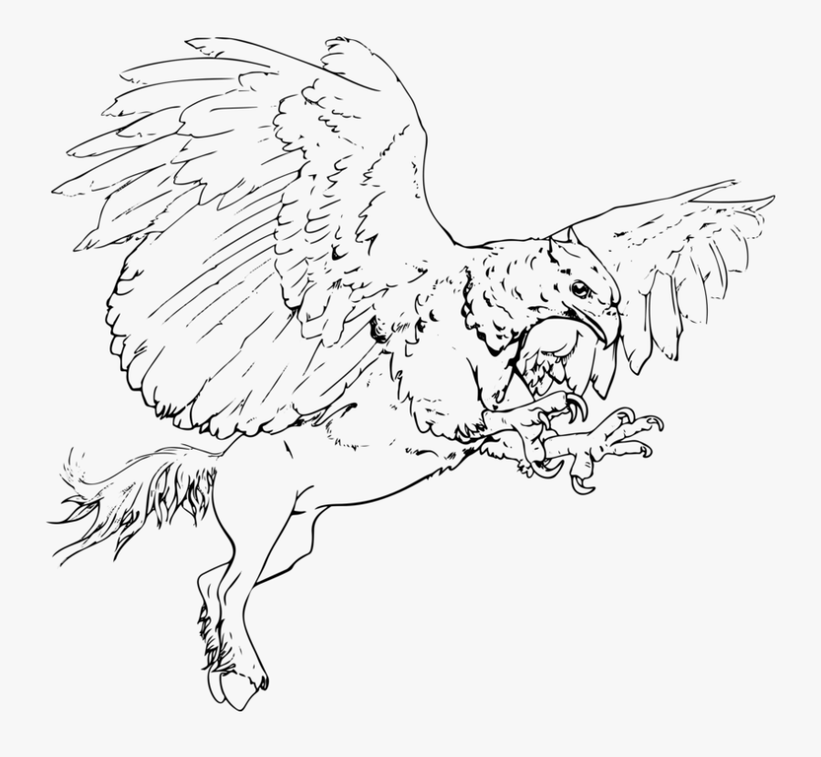 Line Art,head,coloring Book - Line Art, Transparent Clipart