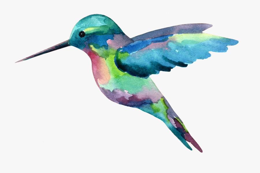 The Long Hawaiian Shirt Journey - Hummingbird Painting Clip Art, Transparent Clipart
