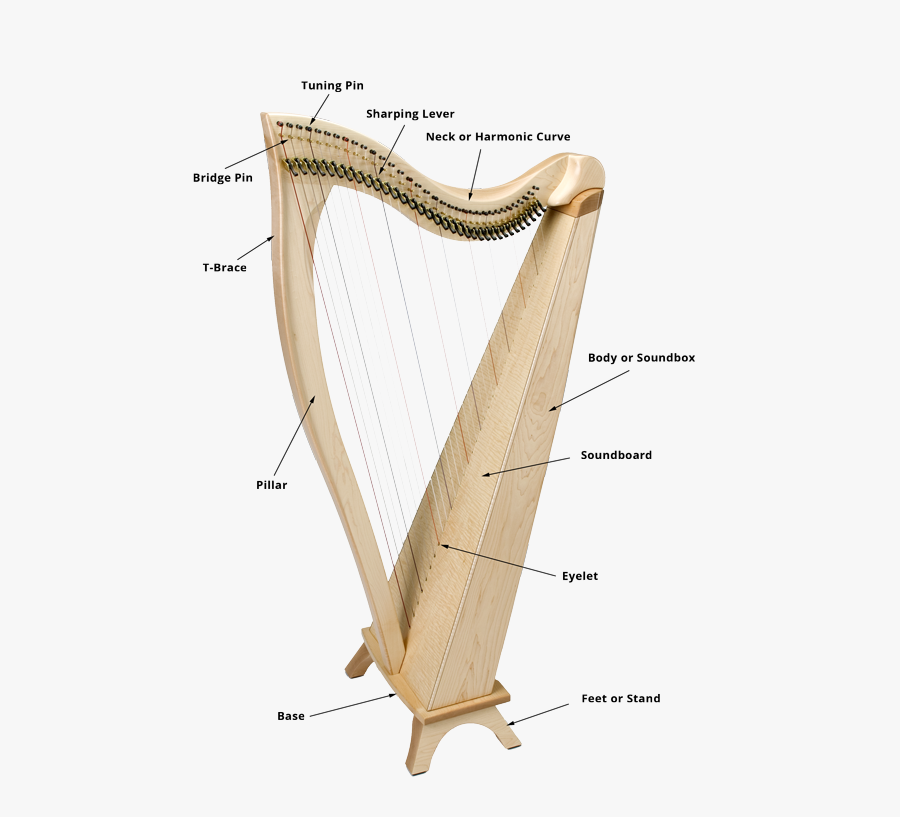 Transparent Lever Clipart - Labeled Parts Of A Harp, Transparent Clipart