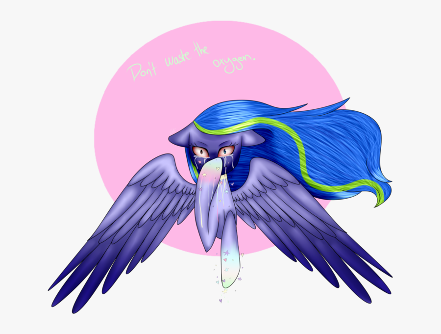 Old Clipart Don T Waste - Macaw, Transparent Clipart