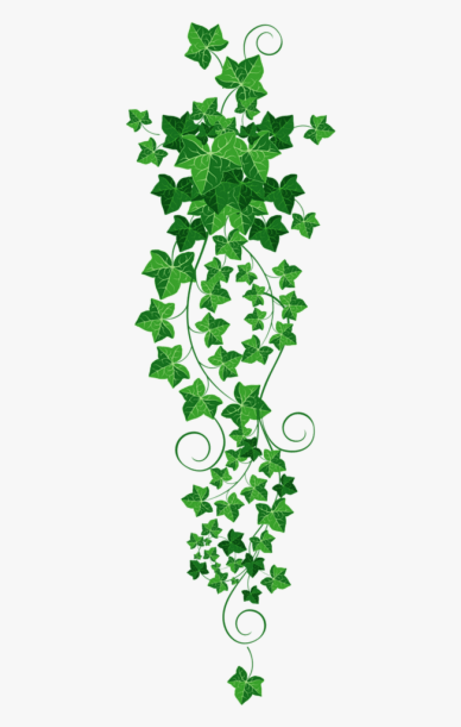 Decoupage Paper, Ivy Tattoo, Cut Paper, Rug Hooking - Vine Clipart Transparent Background, Transparent Clipart