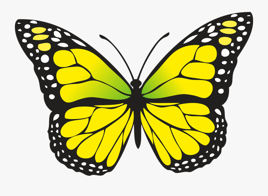 Transparent El Escritorio Clipart - Yellow Butterfly Clipart, Transparent Clipart