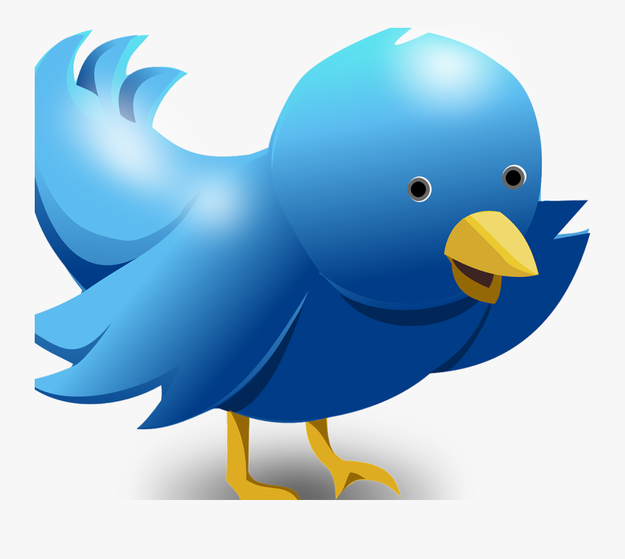Twitter Bird"
 Class="img Responsive True Size - Blue Bird Free Vector, Transparent Clipart