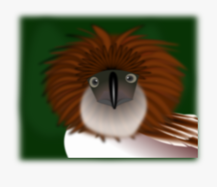 Kiwi Bird Eagle Free Picture - Philippine Eagle Cartoon, Transparent Clipart