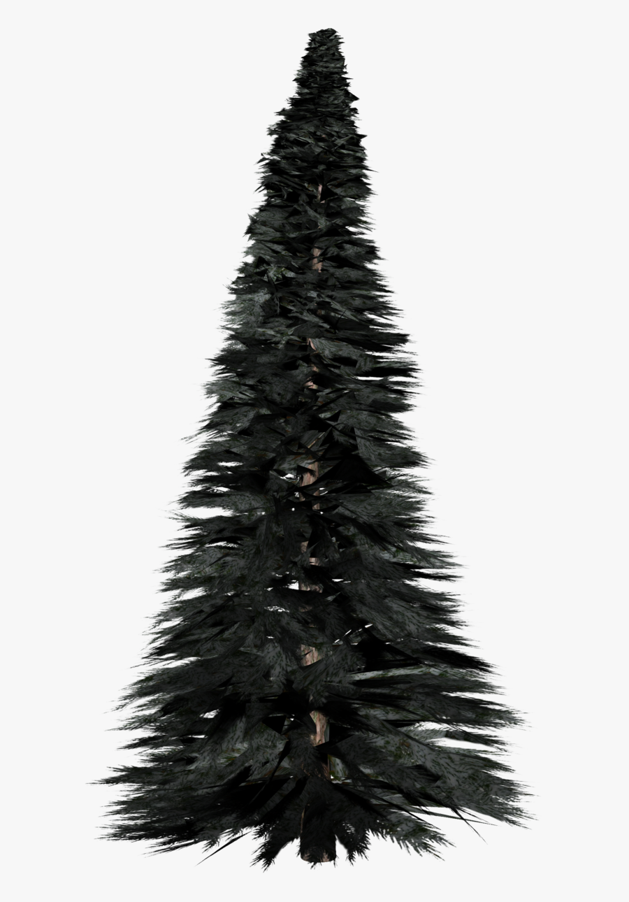 Pine Tree Png Tall - Pine Tree Transparent Background, Transparent Clipart