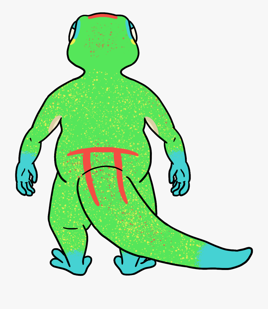 Same From The Back, Transparent Clipart