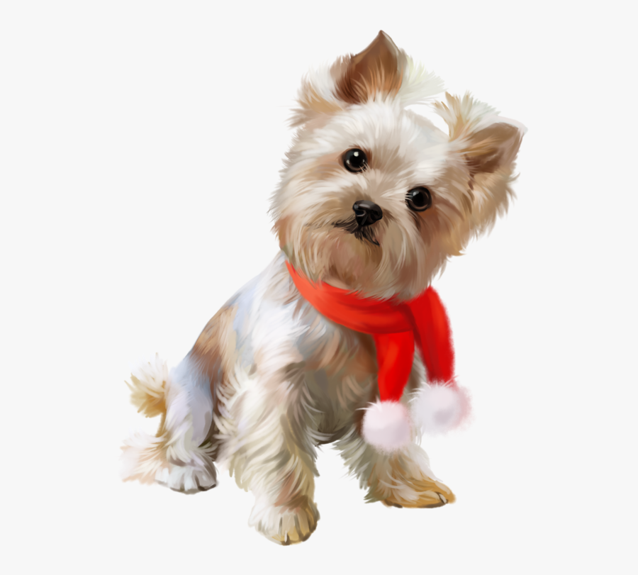 Clip Art Yorkshire Terrier Cairn Morkie - Yorkshire Terrier, Transparent Clipart