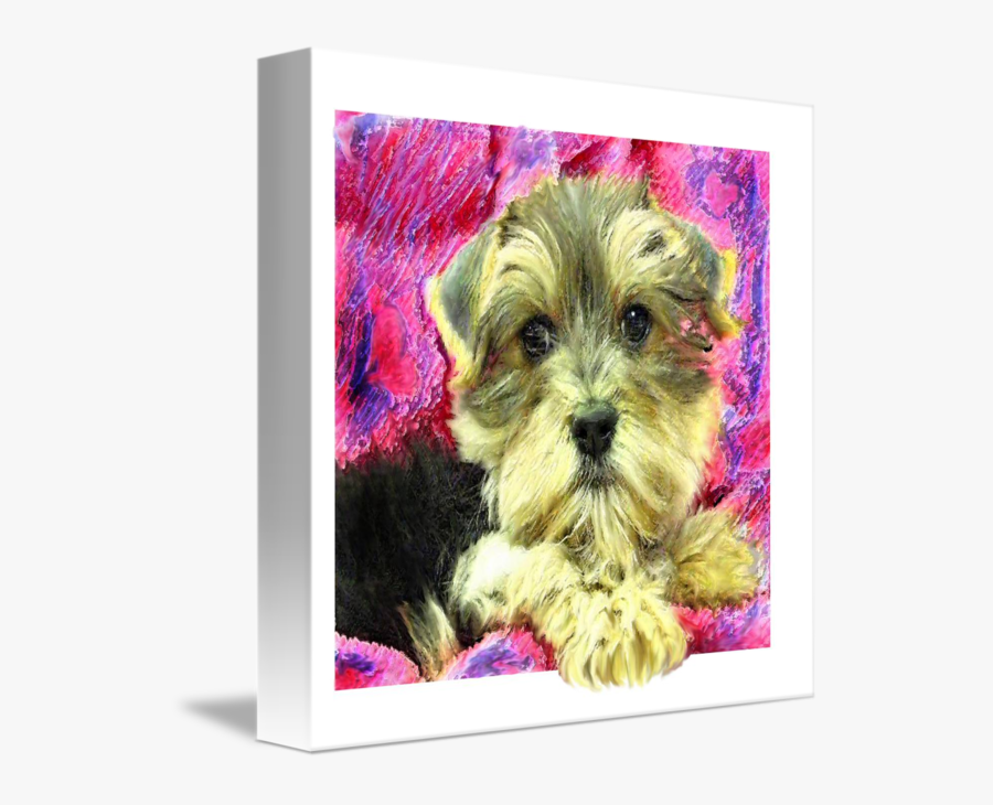 Clip Art Morky Pictures - Morkie, Transparent Clipart