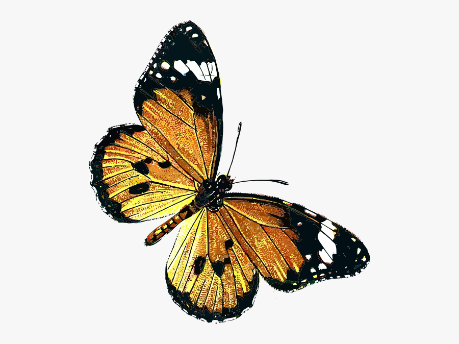 Public Domain Vintage Butterfly, Transparent Clipart
