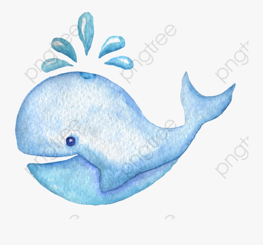 Blue Whale Clipart - Orca Whale Clipart Watercolor, Transparent Clipart