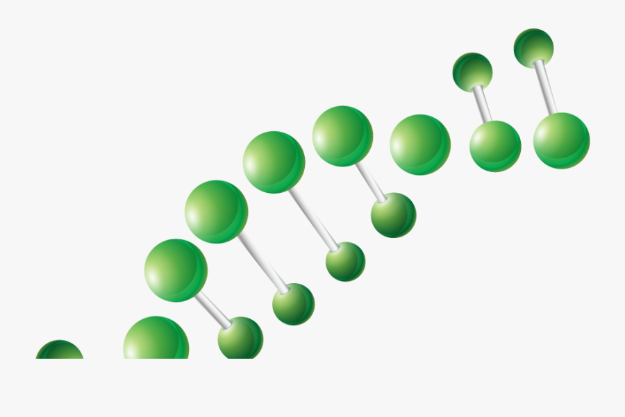 Computational Genomics Summer Institute - Graphic Design, Transparent Clipart