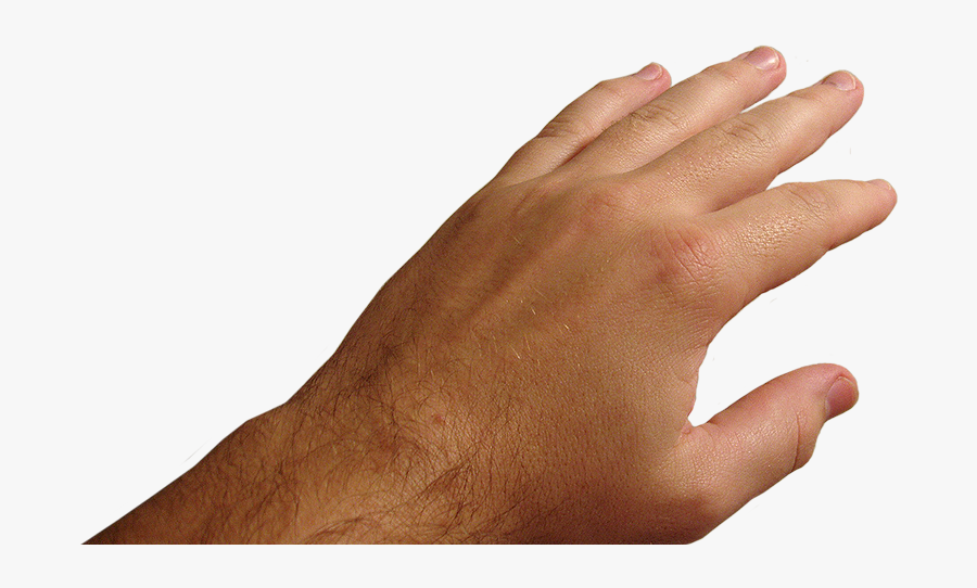 Hands Png Free Images Pictures Download Hand Pov Hand Png