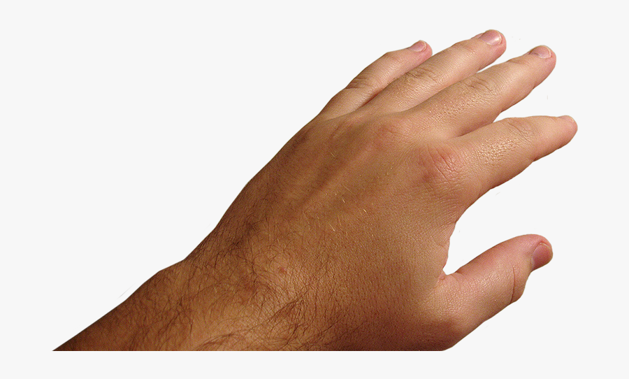 Hands Png Free Images, Pictures Download, Hand - Pov Hand Png, Transparent Clipart