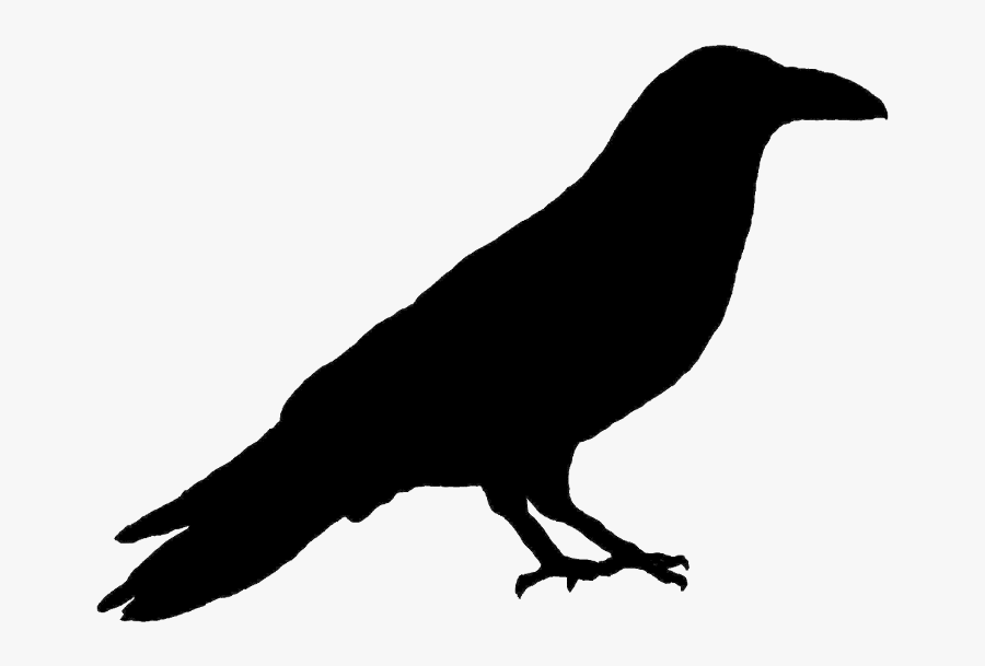 Primitive Crow Silhouette - Raven Clipart, Transparent Clipart