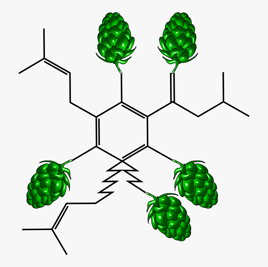 Humulone Alpha Acid - Ciprofloxacin Degradation, Transparent Clipart