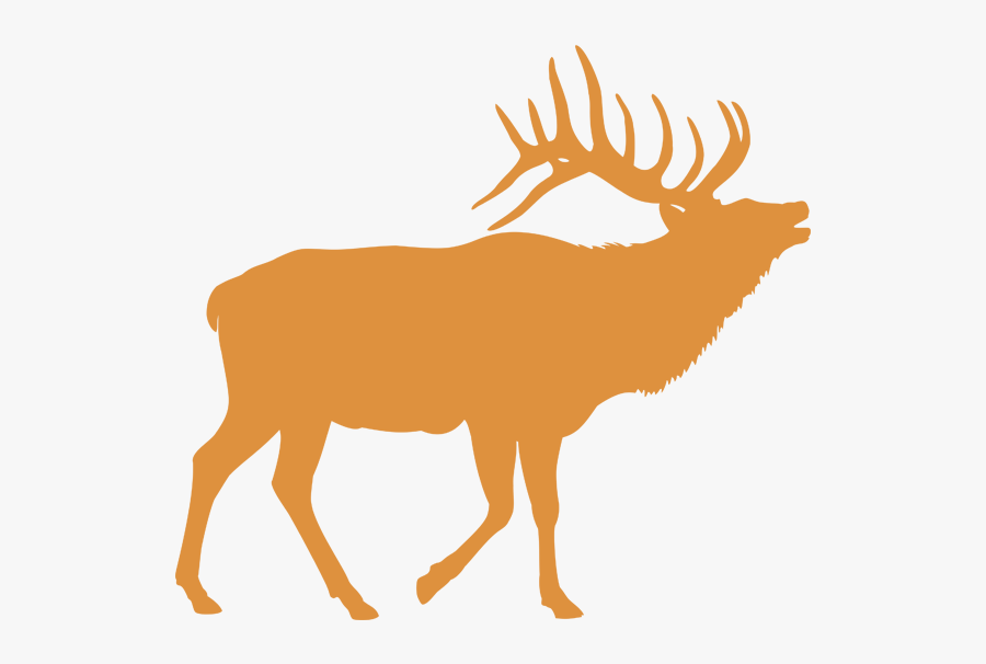 Elk Black And White, Transparent Clipart