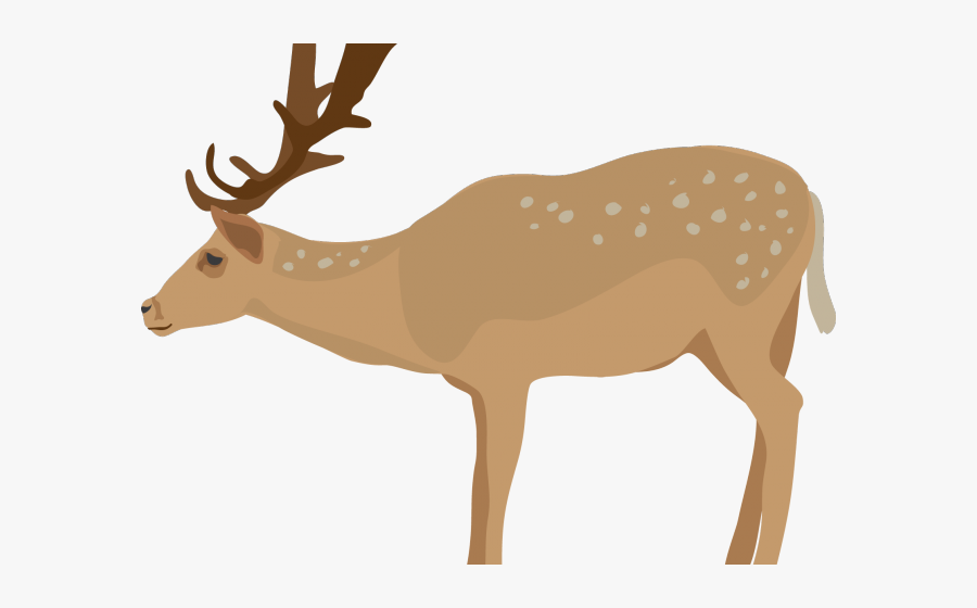 Deer Clipart Transparent Background, Transparent Clipart